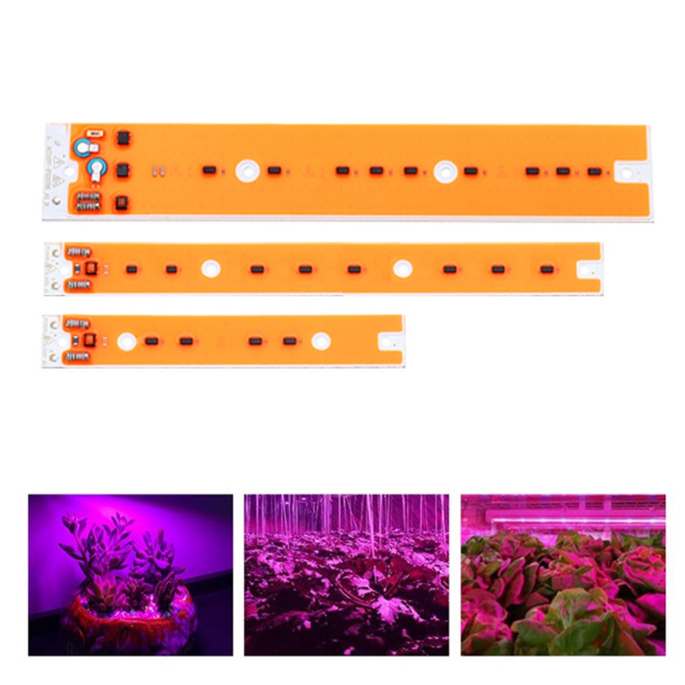 AC110V/220V 30W 50W 80W Full Spectum LED COB Chip Grow Light Source for Flood Iodine-tungsten Lamp - AC220V 30W