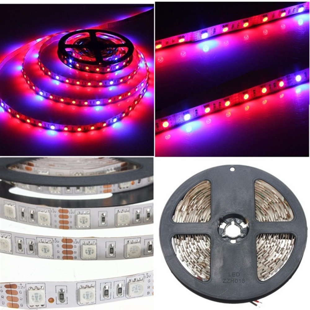 1M/2M/3M/4M/5M SMD5050 Non-Waterproof LED Grow Lights Full Spectrum Plant Strip Lamp DC12V - 1M - Image 2