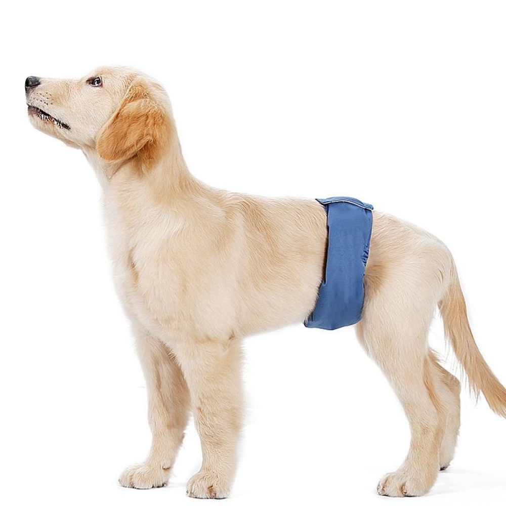 Waterproof Anti-harassment Dog Diaper Physiological Pants Washable Female Sanitary Pet Pants - M Blue - Image 2