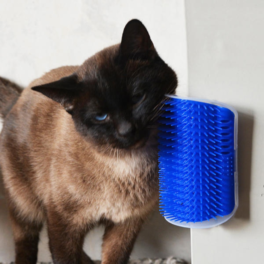 Pet Products Cats Supplies Massage Device Self Groomer Furniture Scratching Post Pet Brush - Image 2