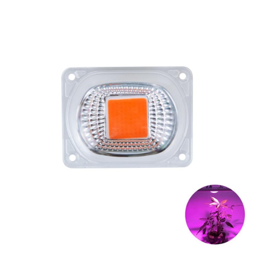 High Power 20W 30W 50W Full-spectrum COB LED Grow Light Chip with Lens for Floodlight AC110V/220V - 50w AC220V - Image 2