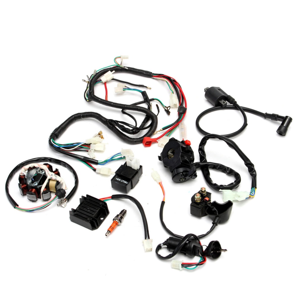 Complete Electrics Wiring Harness For Chinese Dirt Bike ATV QUAD 150-250 300CC - Image 2