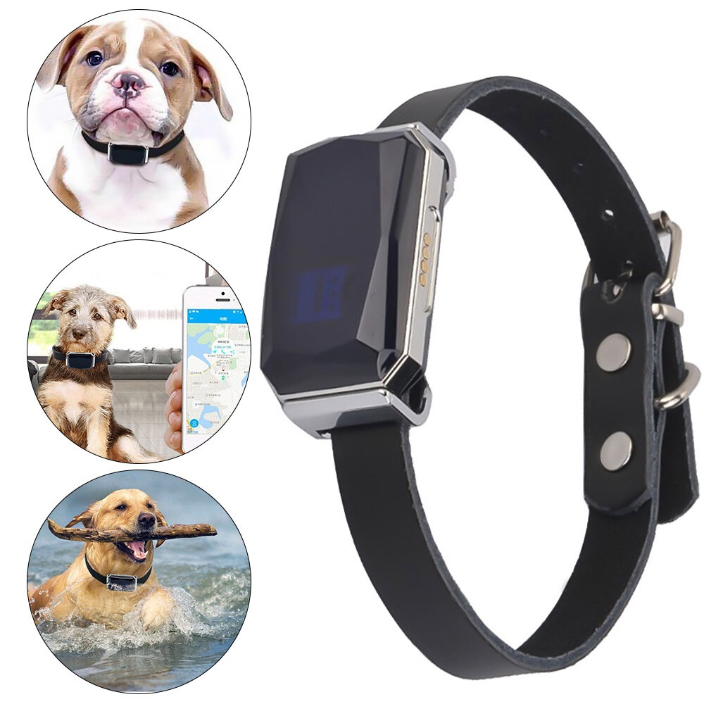 G12 GPS AGPS WiFi LBS Beidou Smart Waterproof Positioning Tracker Anti-lost Pet Locator for Cats and Dogs - Blue - Image 2