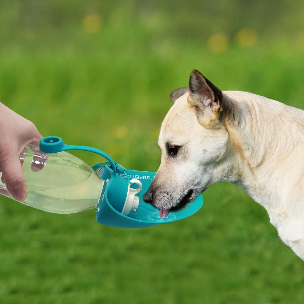 650ml Sport Portable Leaf Pet Dog Water Bottle Expandable Silicone Travel Dog Bottles Bowl For Puppy Cat - Blue - Image 2