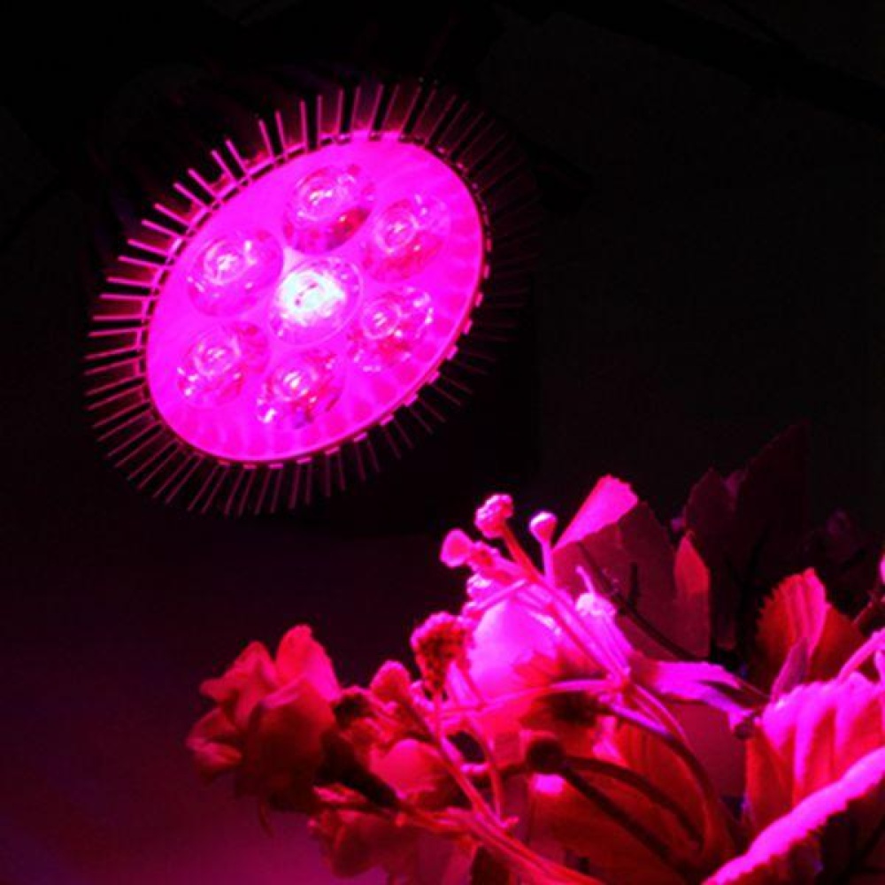 21W E27 Red + Blue LED Plant Grow Light Lamp Flower Hydroponic Globe Bulb 85-265V - Image 2