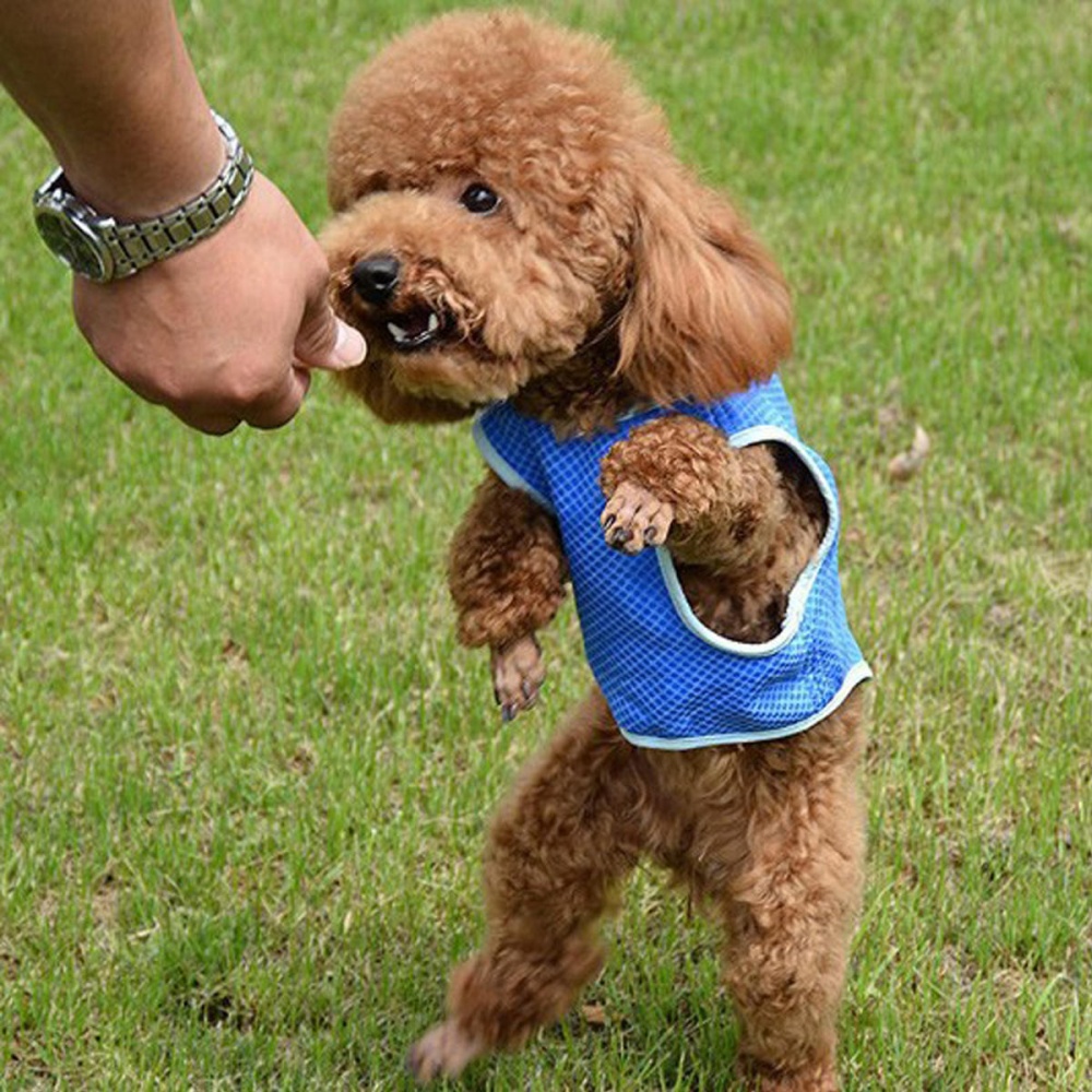 Summer Cooling Jacket Coat Vest T-shirt Clothes Clothing For Dog Cat Puppy Pet Vest - S - Image 2