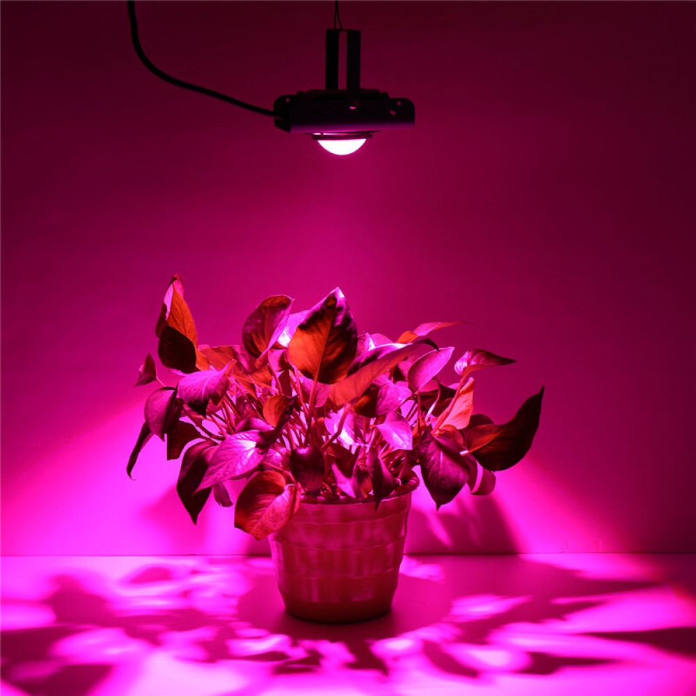 144LED COB Plant Grow Light Full Spectrum 380-800nm 4000K Hydroponic Growth Lamp - Red US Plug - Image 2