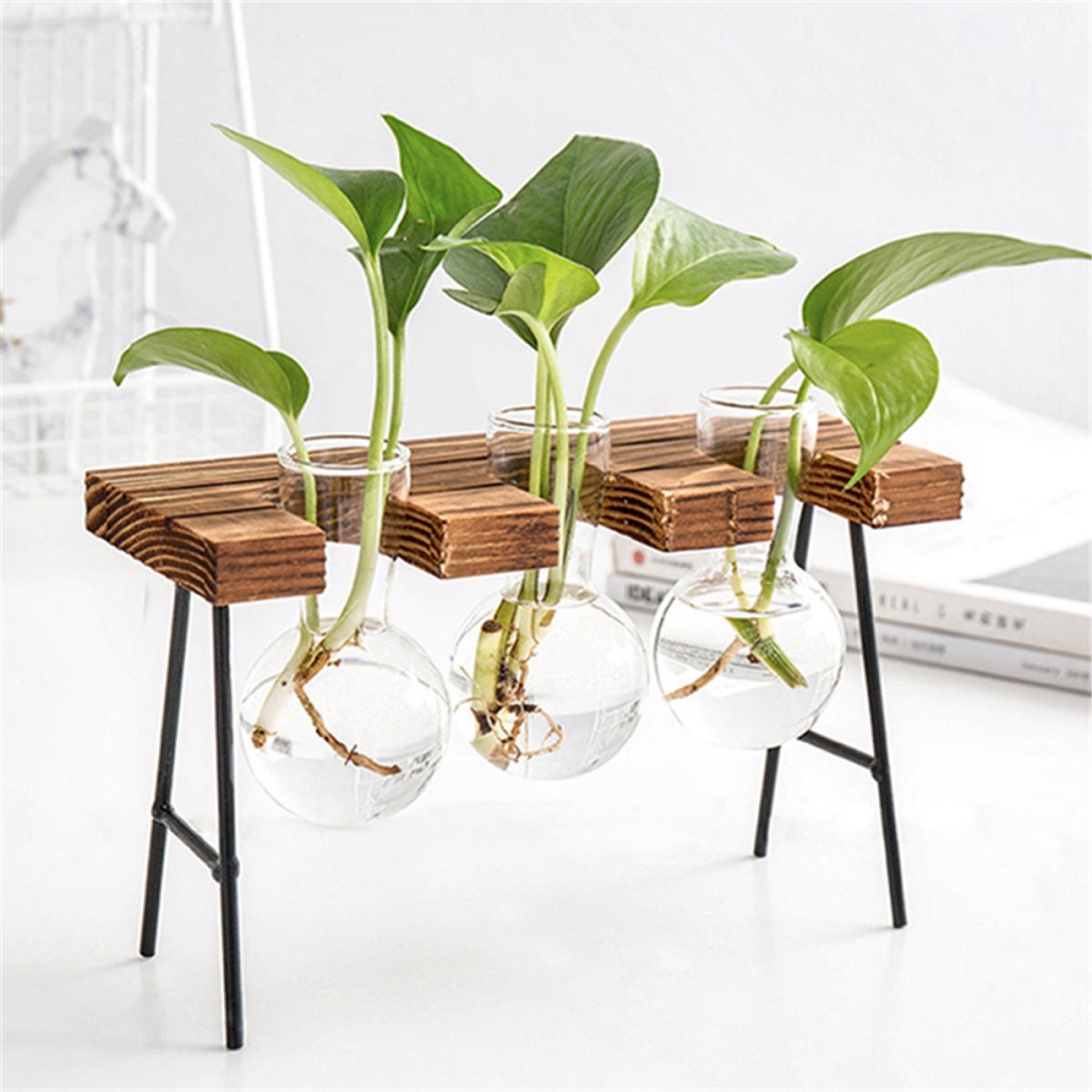 Ball Shape Glass Vase Plant Hydroponic Container Flower Bottle Table Desk Decor with Wooden Shelf Stand - #1 - Image 2