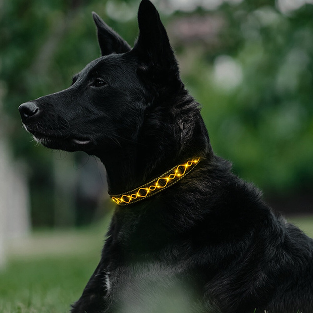 LED Dog Pet Collar Flashing Luminous Safety Night Light Flashing Adjustable - Red - Image 2