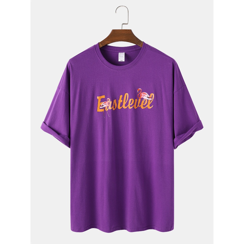 Mens Flamingo Letter Print Round Neck Loose Cotton Short Sleeve T-Shirts - Pink M