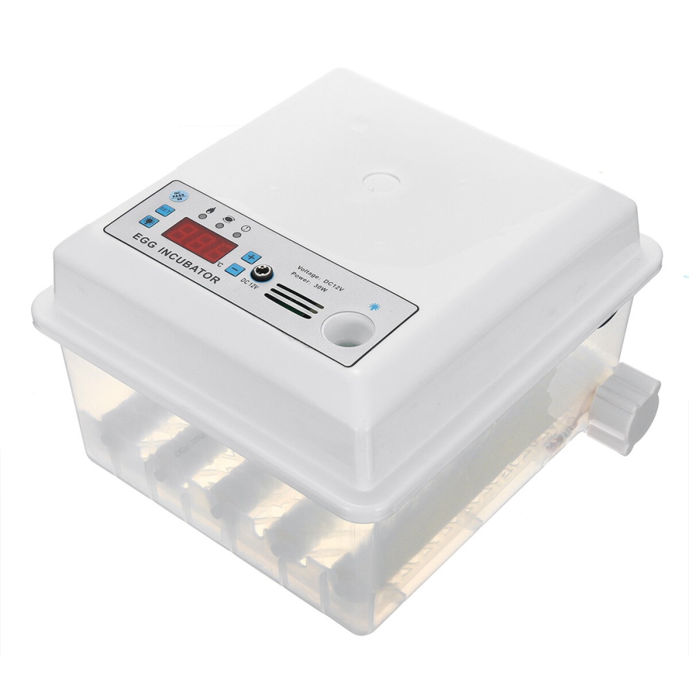 AC US plug 110-220V 16 Eggs Mini Fully Automatic Incubators Small Egg Hatcher - Type B