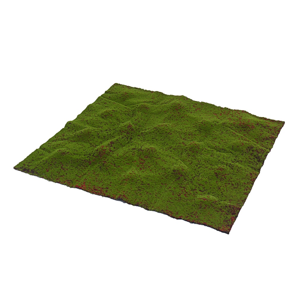 Artificial Moss Grass Synthetic Mat Landscape Lawn Pet Dog Turf Garden Yard Floor Mat - D - Image 2