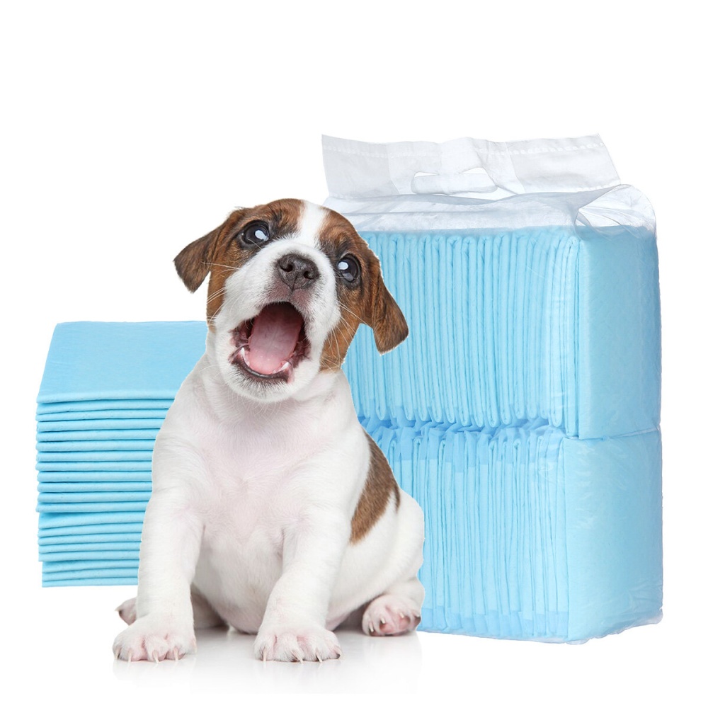 100/50/40/20 Pet Diapers Deodorant Thickening Absorbent Diapers Disposable Training Urine Pad Dog Diapers - XL - Image 2