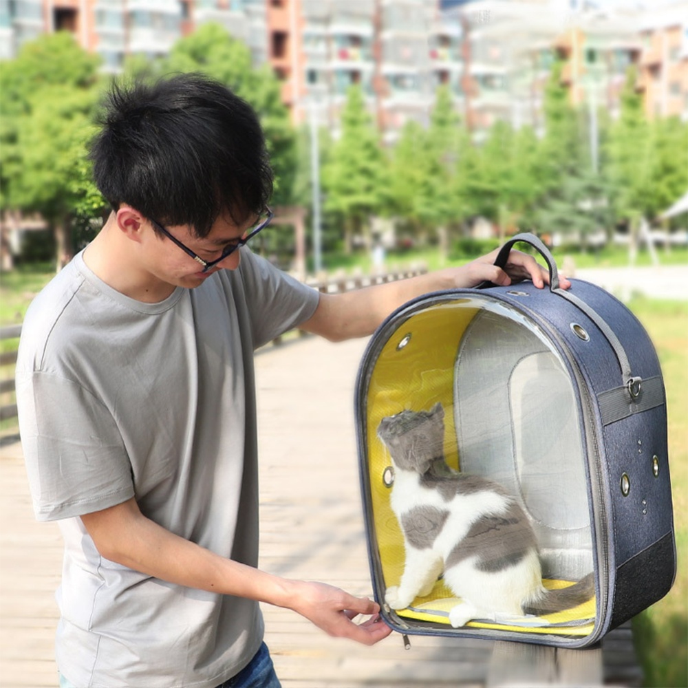 Bird Parrot Travel Bag With Perch Stand For Parakeets Cockatiels Conures Finches Lovebirds m_Gray+blue - Image 3