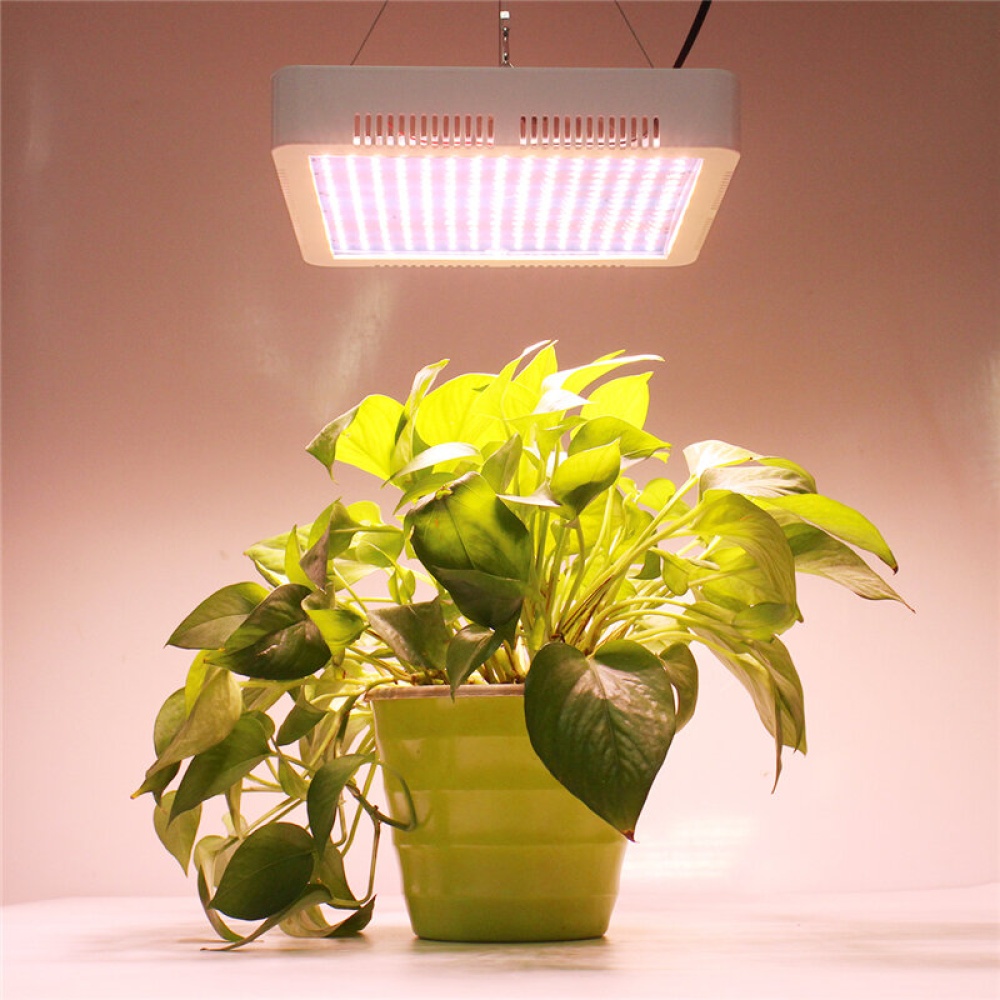 50W 85-260V 240LED Plant Grow Lamp Sunlight Full Spectrum Dual Switch Hydroponic Growth Lamp - EU Plug - Image 2