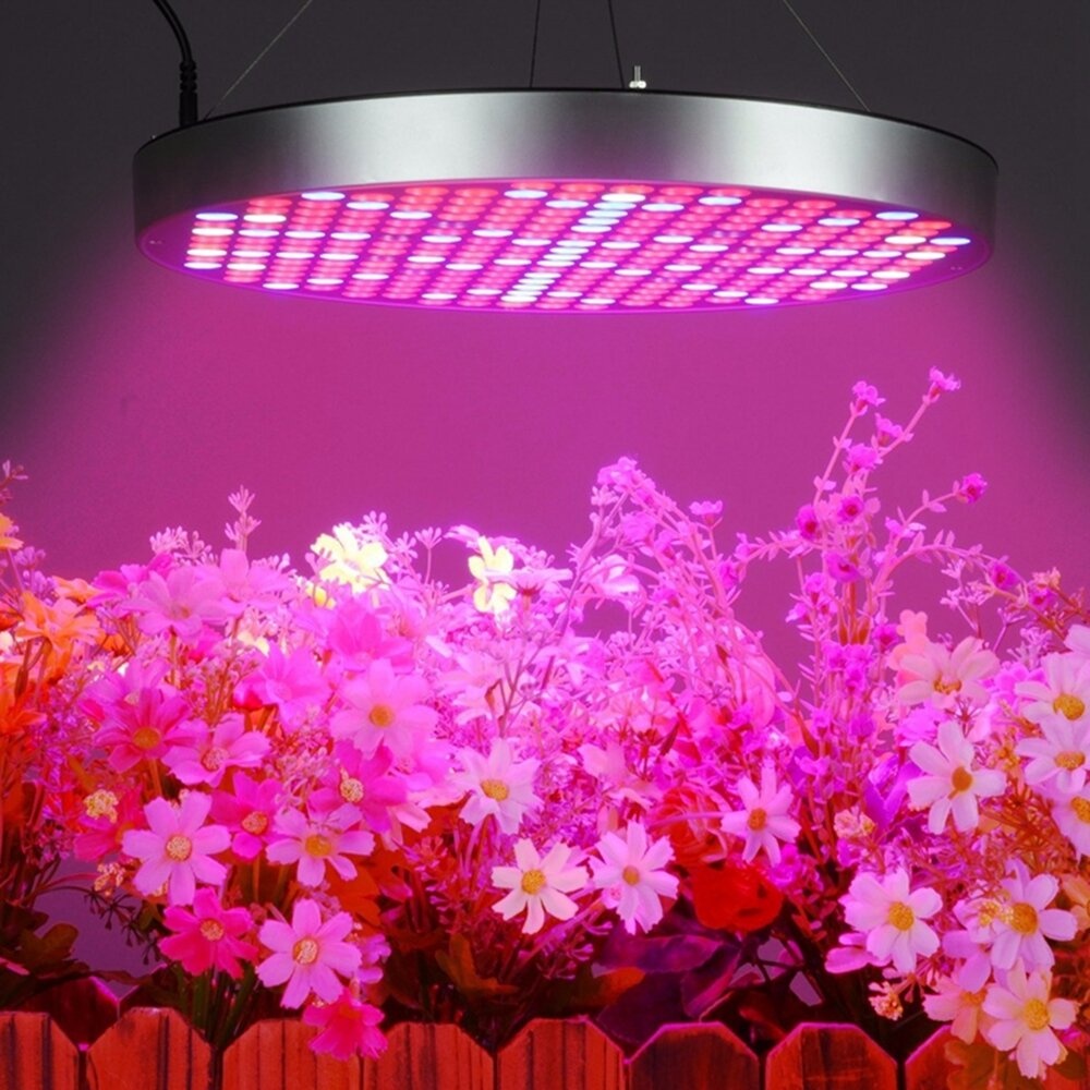 AC85-265V 35W UFO 250LED Grow Light Full Spectrum Growing Lamp for Indoor Plants Flower Seeding Hydroponic Greenhouse - EU Plug - Image 2