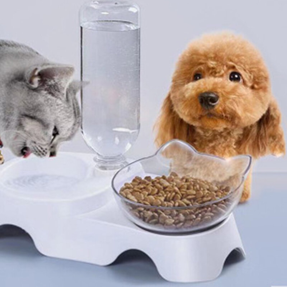 15 Degree Raised Pet Bowls Cats Food Water Feeder Plastic Tilted Elevated Bowl for Pets Care - White - Image 2