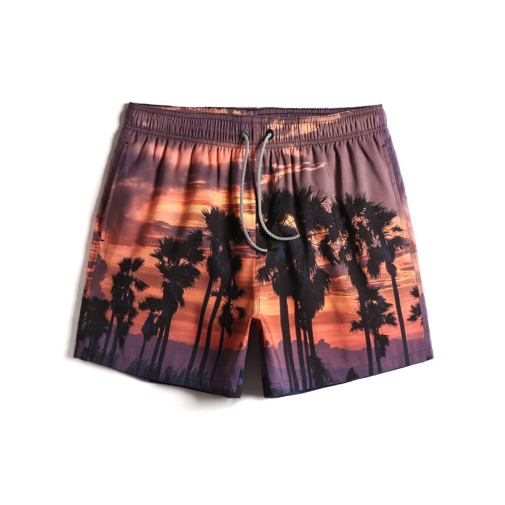 Mens Beach Scenery Print Drawstring Waist Loose Holiday Board Shorts - Coffee S