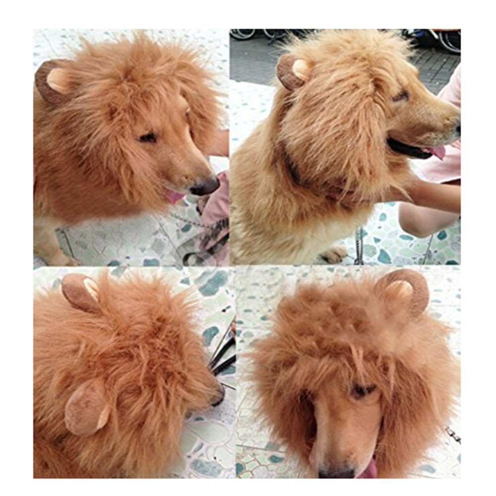 Pet Costume Lion Mane Wig with Ears for Dog Cat Clothes Fancy Dress up