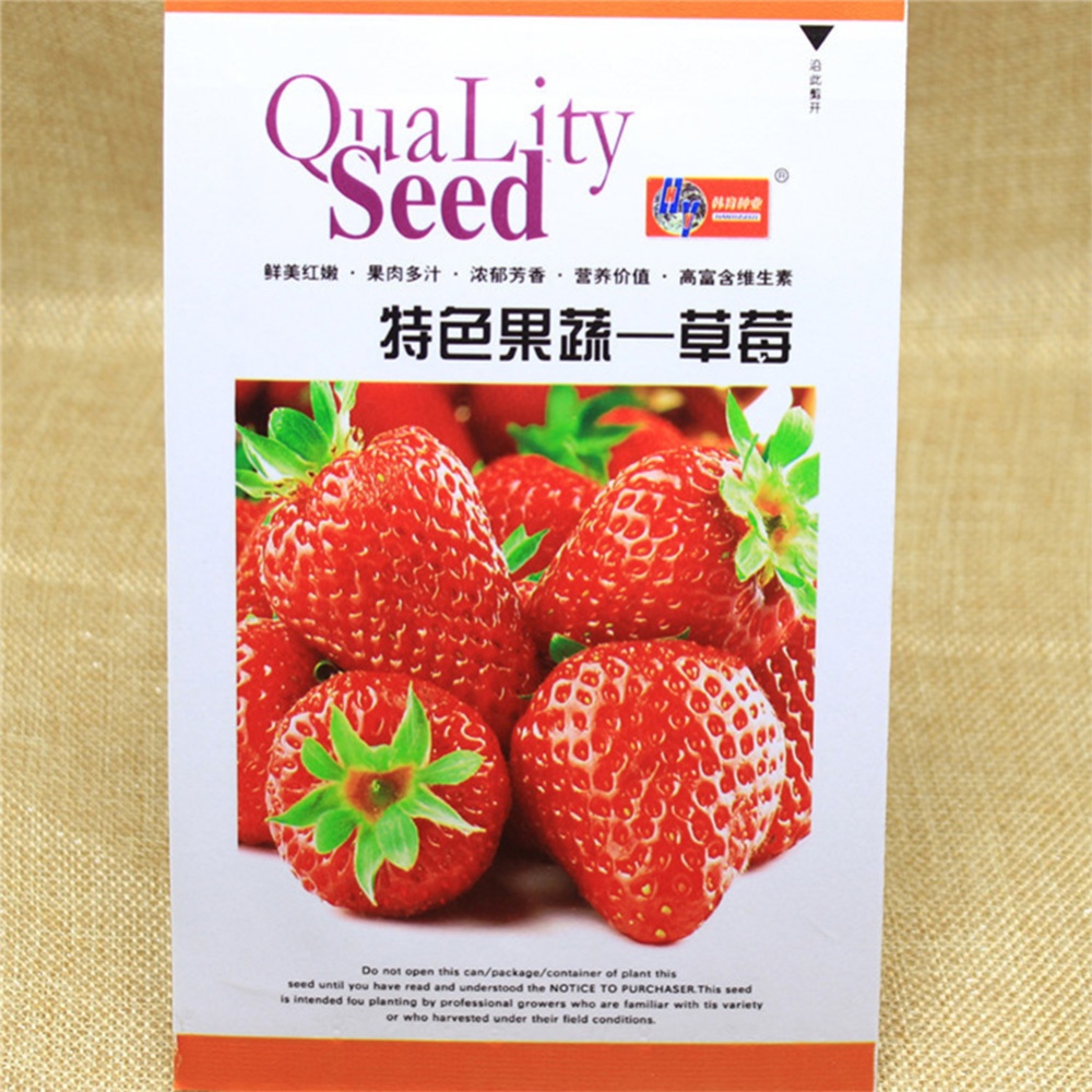 Strawberry Flower Seed Fruit Herb 6g