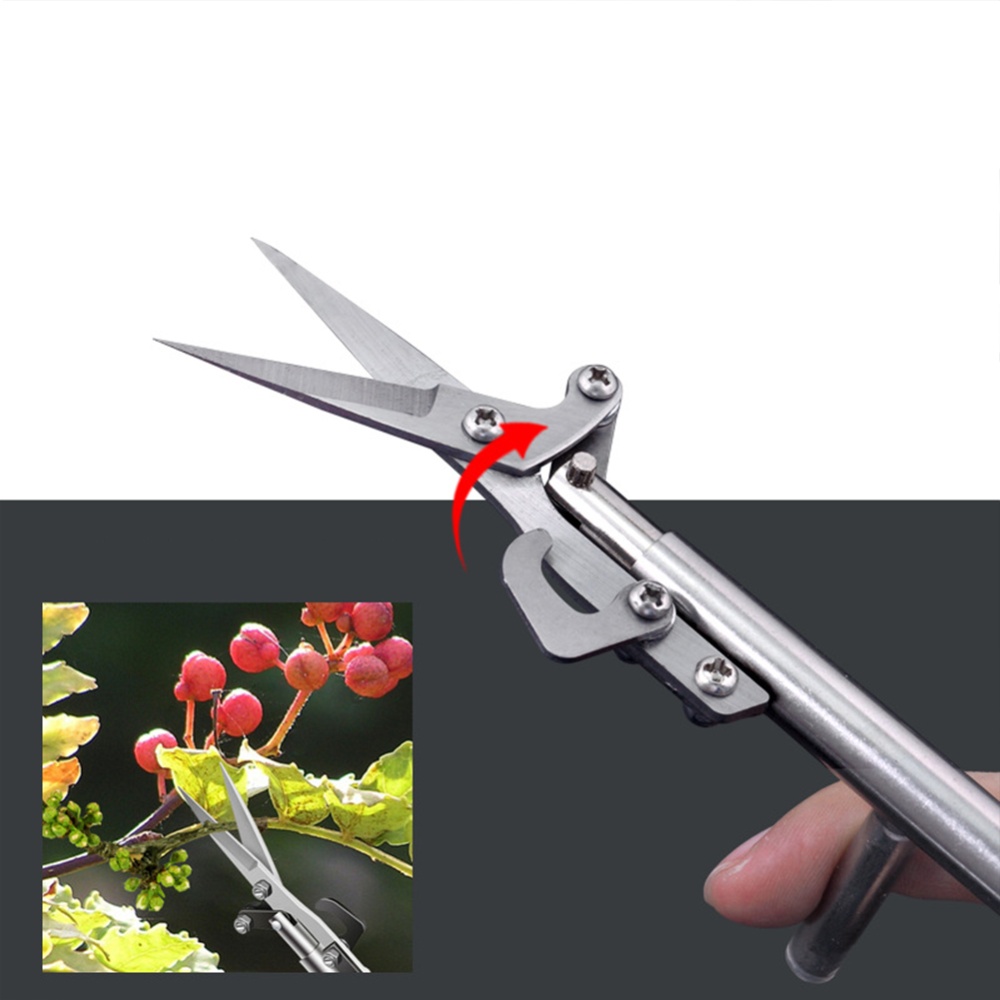 Portable Pruning Shears Cut Bud Pepper Gardening Cutter Household Garden Utility Tools black - Image 3