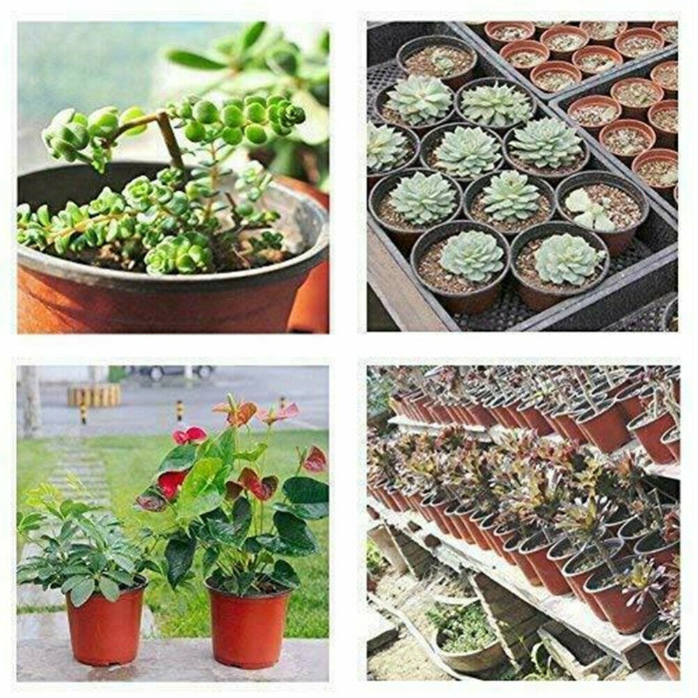 100Pcs/Set Thickened Plastic Plant Nursery Pots Flower Seedlings Tray For Home Garden 100mm - Image 2