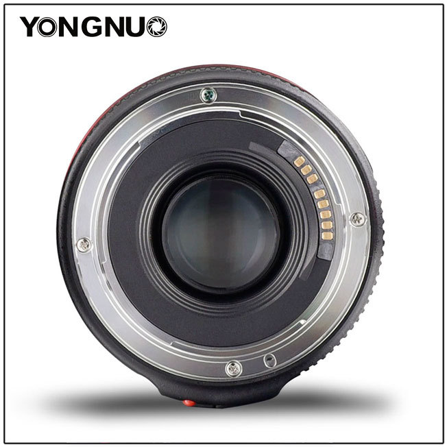 YONGNUO YN50mm Large Aperture Auto Focus Lens for Canon EOS 70D 5D2 5D3 600D - Image 2
