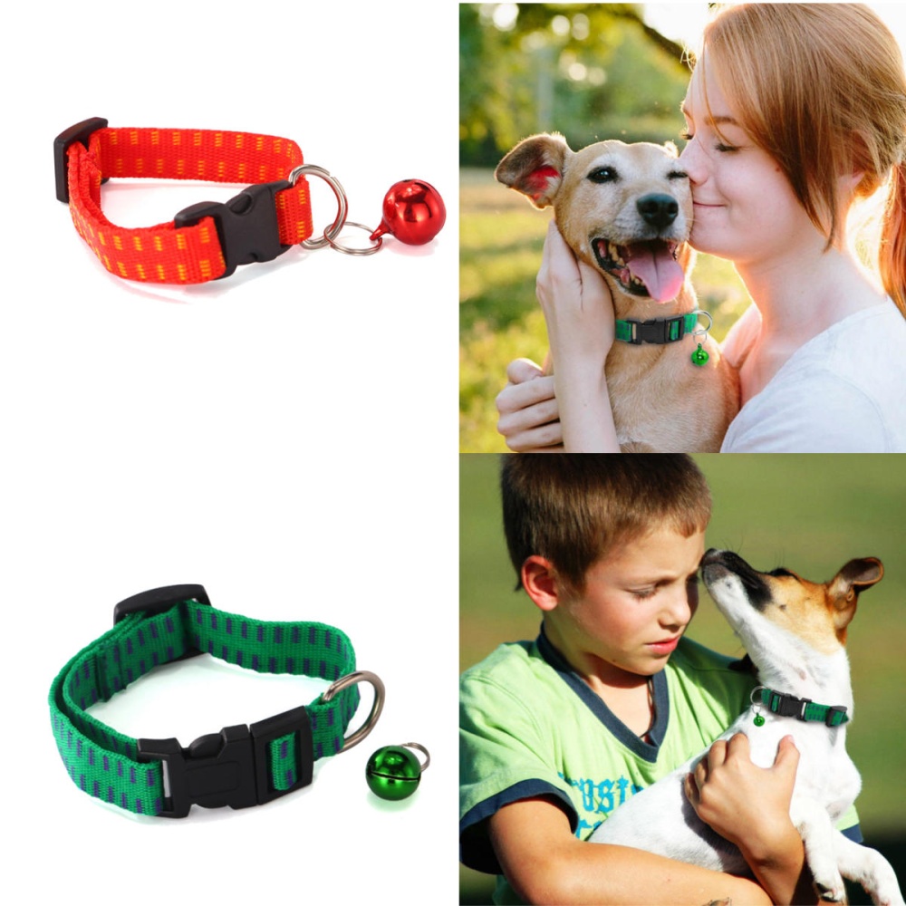 Anti Flea & Collar for Dog and Cat Universal Pet Protection Neck Strap - #01 - Image 2