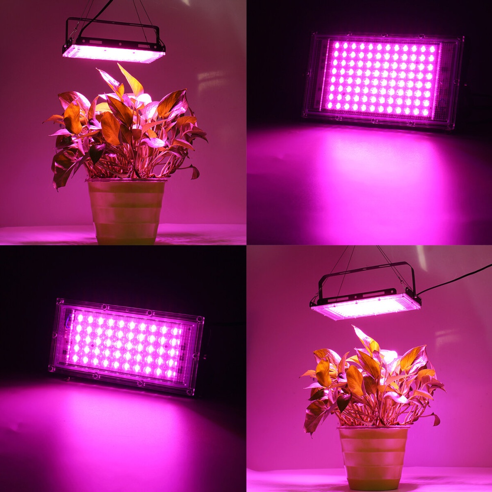 50W 100W LED Grow Light Full Spectrum Greenhouse Indoor Plant Vegetables Growing Lamp - EU Plug 50w - Image 2