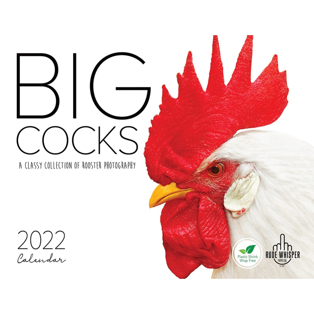 Thick Strong Paper 2022 Interesting Big Cocks Calendar Different Exquisite Illustration Blank Daily Note Box New Year Gifts Colorful