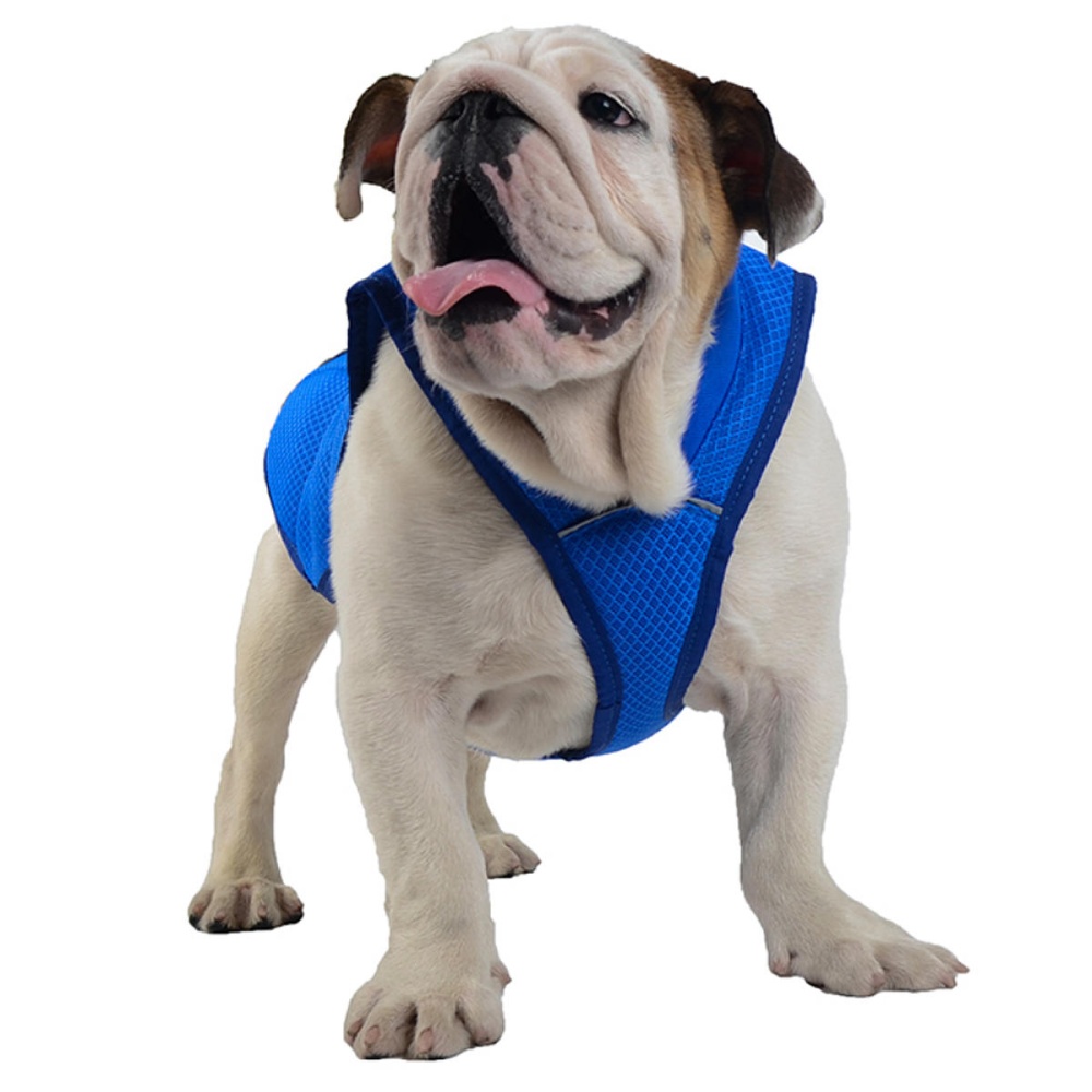 Pet Dog Summer Cool Vest Breathable Comfortable Sunscreen Cooling Clothes Jacket Pet Vest - S - Image 2