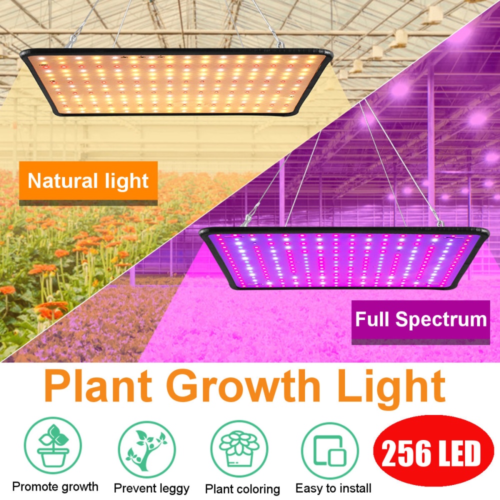 5000W LED Full Spectrum Plant UV Grow Light Veg Lamp For Indoor Hydroponic Plant - UK Plug LED Full Spectrum - Image 2