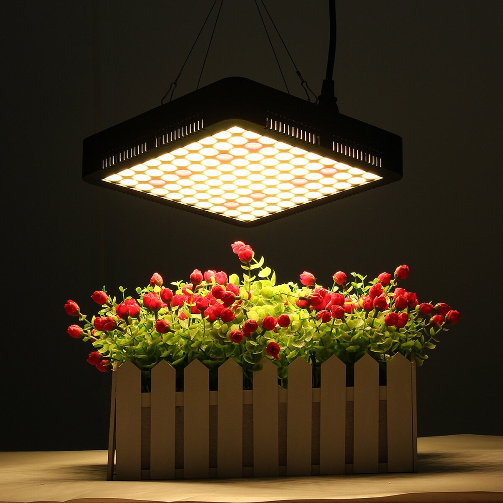 300W LED Grow Light Full Spectrum Hydroponic Indoor Plant Flower Growing Bloom Lamp AC85-265V - US Plug - Image 2