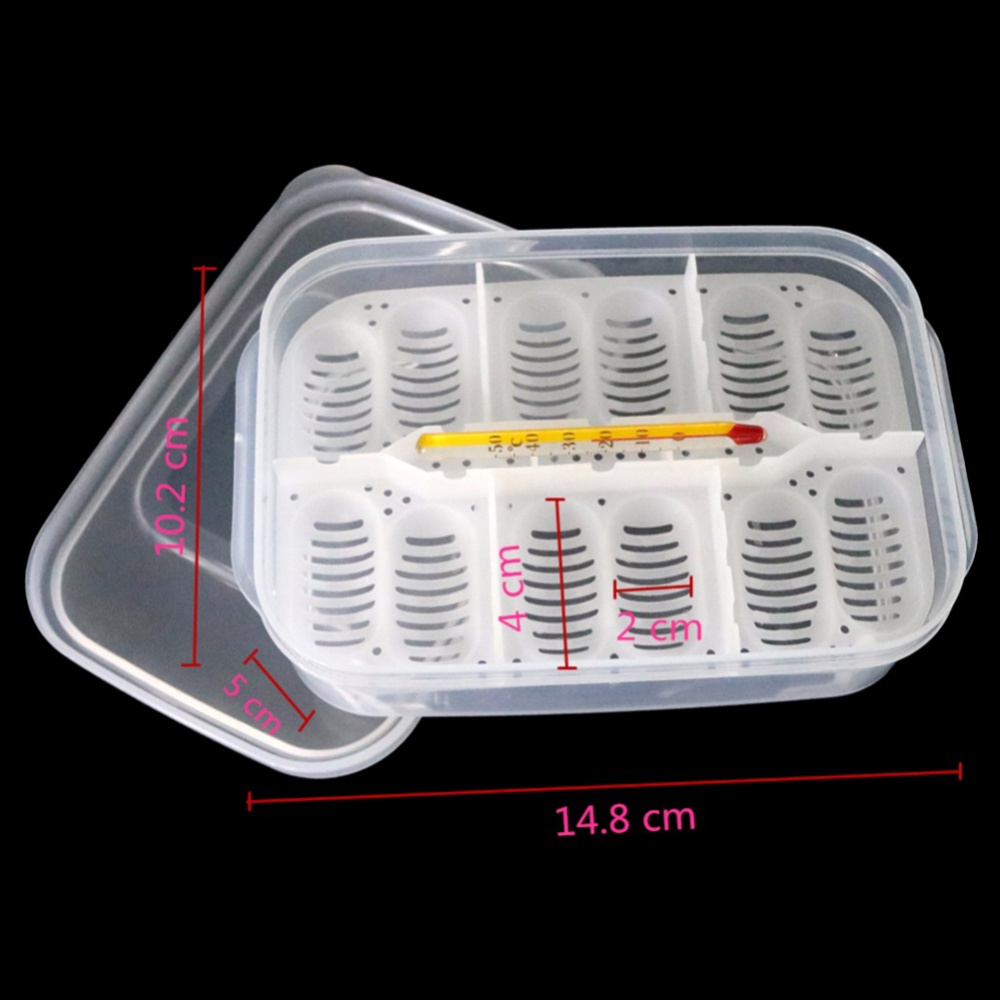 12 Holes Reptile Egg Incubation Tray with Thermometer Tool for Gecko Lizard Snake Eggs Transparent color - Image 2