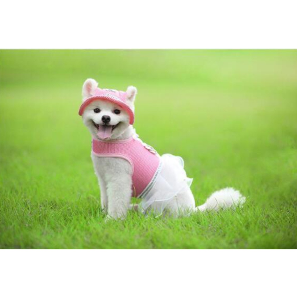 Summer Pet Breathable Mesh Dress with Leash Buckle for Cat Dog Outdoor Pink_L - Image 2