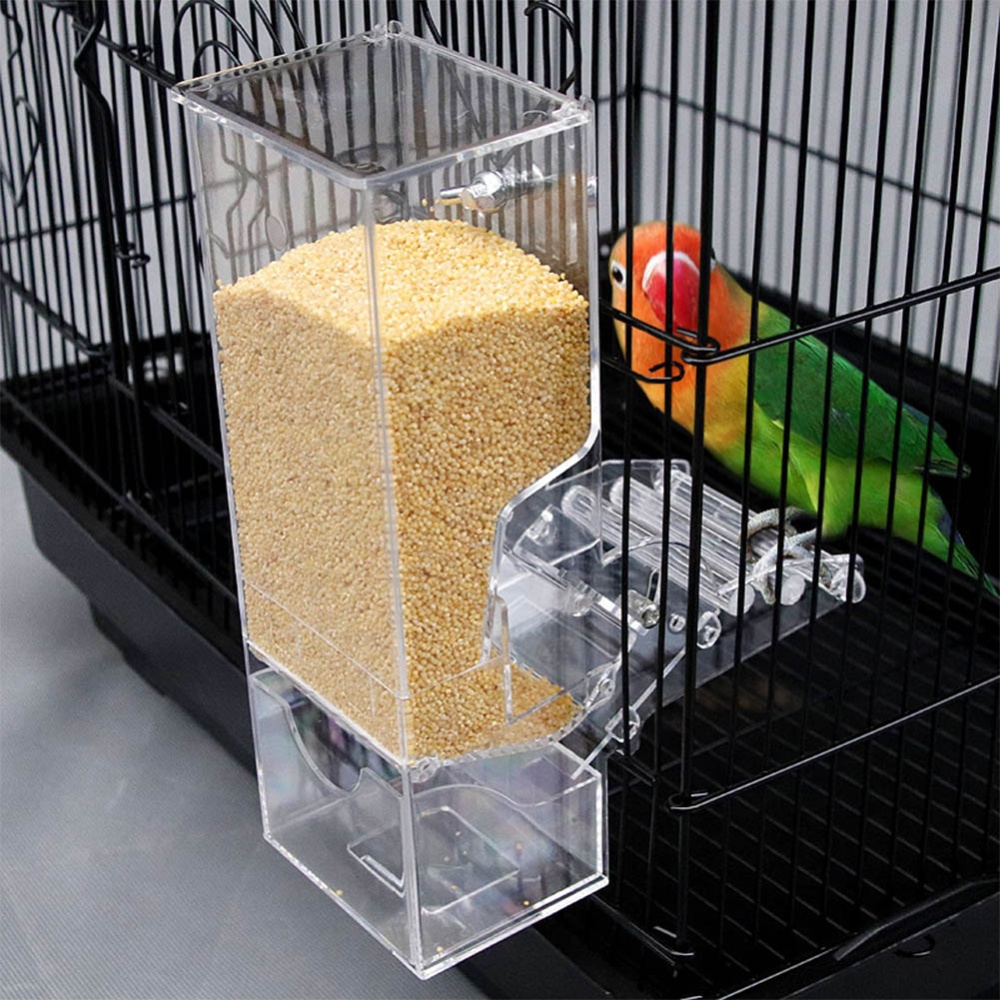 Transparent Automatic Feeder for Mini Pet Birds Myna Parrots color - Image 2