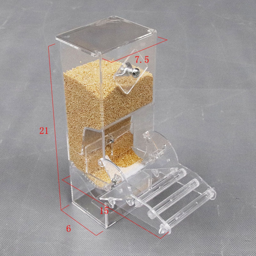 Transparent Automatic Feeder for Mini Pet Birds Myna Parrots color - Image 3