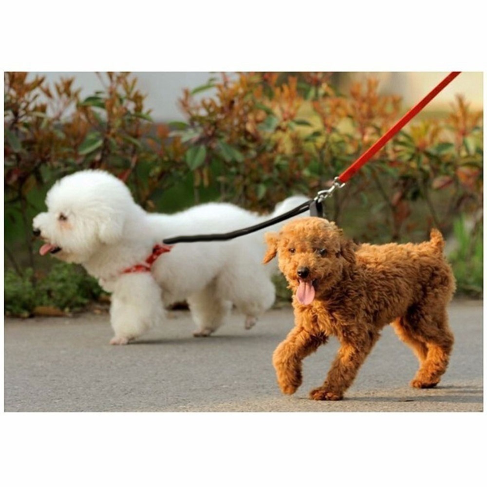 Nylon Couple Double Pet Dog Collar Lead Leash Training Walking Harness Strap - Image 3