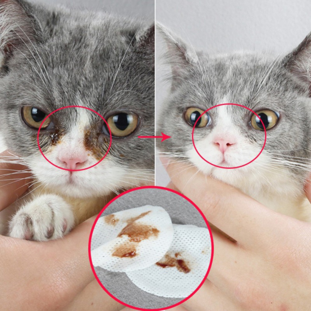 100Pcs Pet Wet Tissue for Kitten Puppy Dog Eye Gentle Cleansing As shown - Image 2