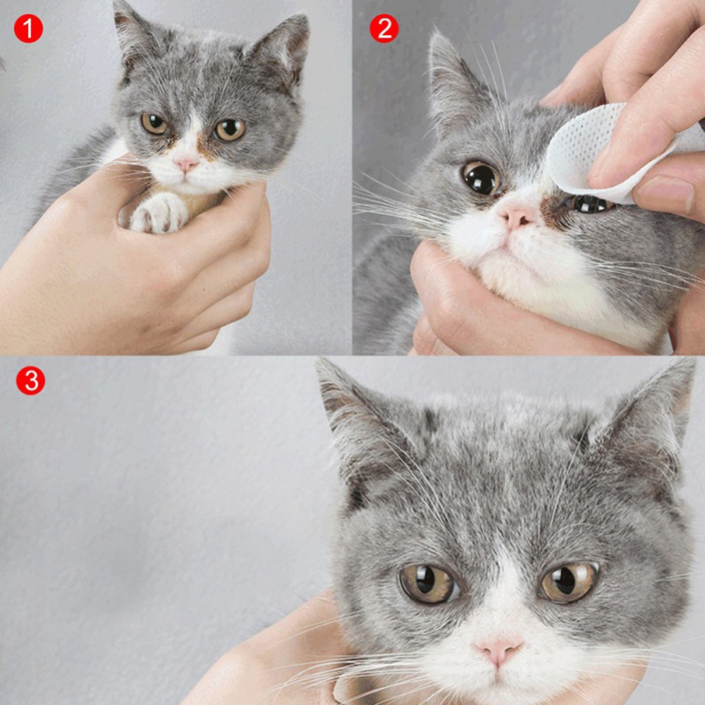 100Pcs Pet Wet Tissue for Kitten Puppy Dog Eye Gentle Cleansing As shown - Image 3