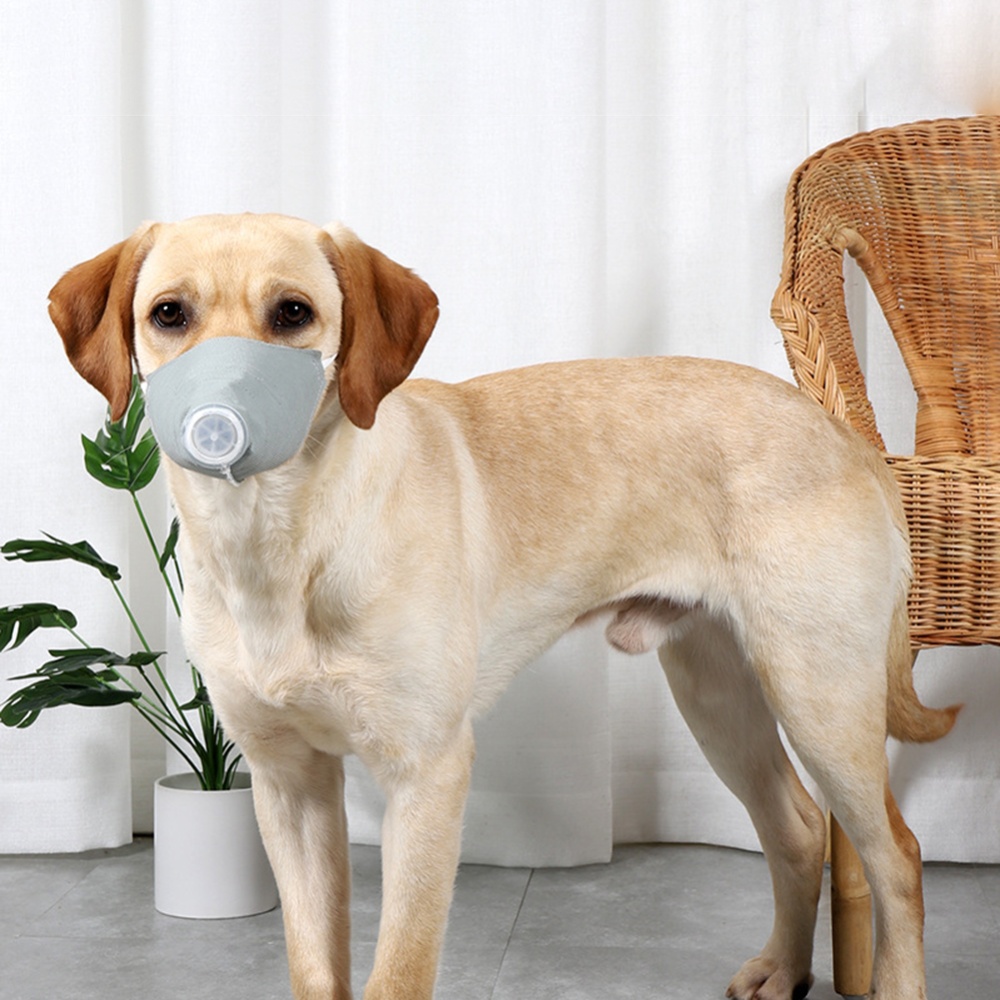 Pet Dog Soft Face Cotton Mouth Cover Respiratory Filter Anti-fog Haze Muzzle Guard gray_M