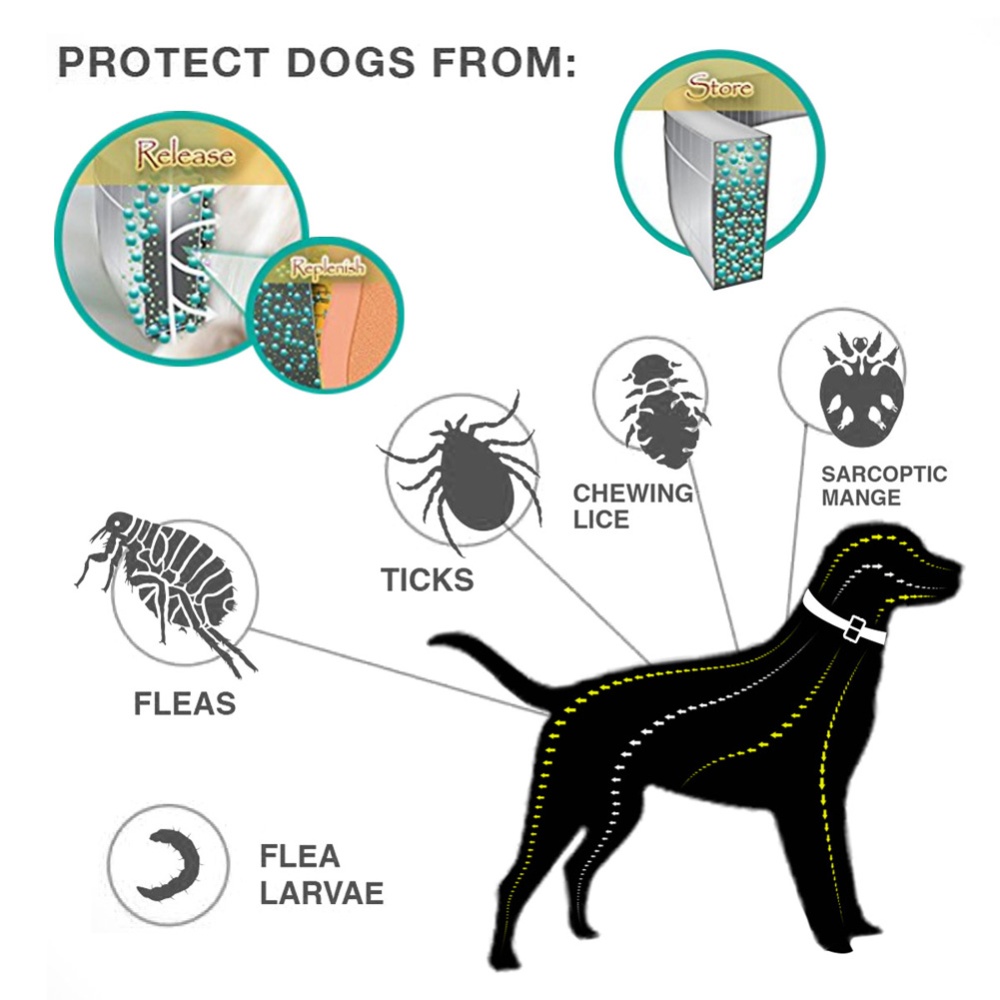 Natural Dog Cat Collar Anti Flea Ticks Mosquitoes Insect Repelling Waterproof gray_L - Image 2