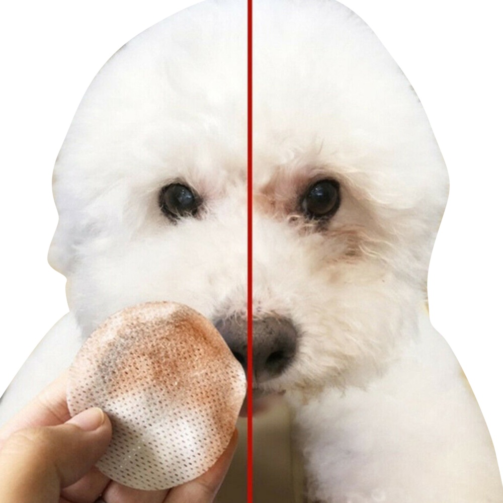 80pcs/Bag Disposable Wet Tissue Paper To Wipe Tears Pet Cat Kitten Dog Cleaning Supplies 80 pumping