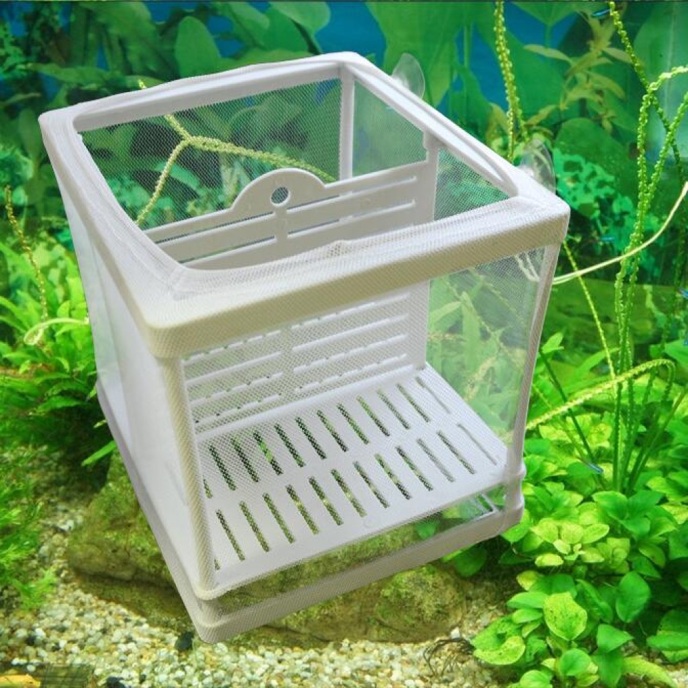 Aquarium Fish Tank Separation Net Breeding Incubator Isolation with Sucker and Partition small - Image 3