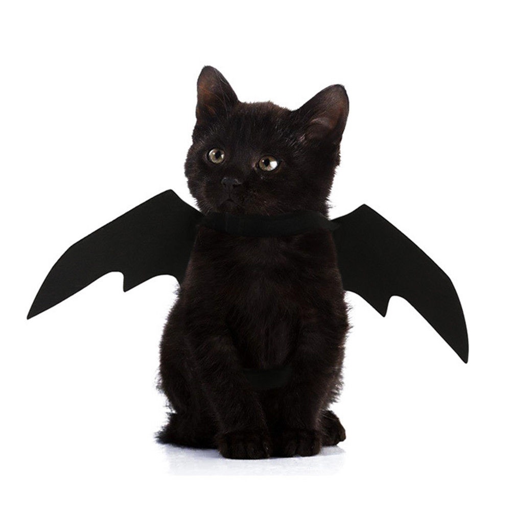 Halloween Pet Bat Black Wings Cat Dog Costume black - Image 2