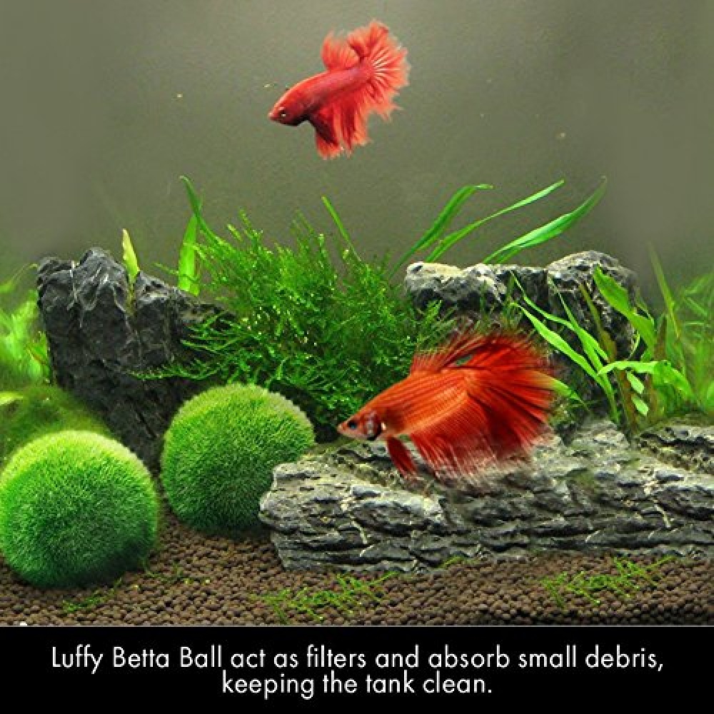 Living Green Seaweed Ball for Aquarium Fish Tank Decoration green - Image 3