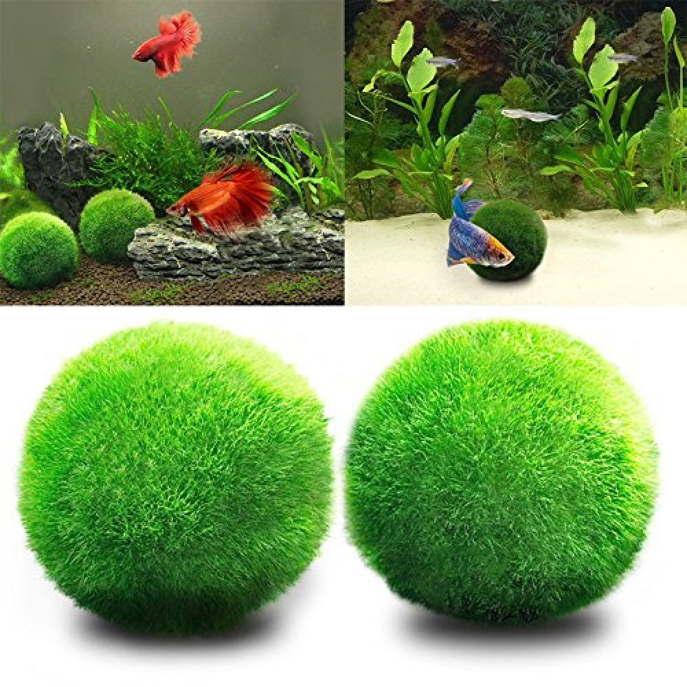 Living Green Seaweed Ball for Aquarium Fish Tank Decoration green - Image 2