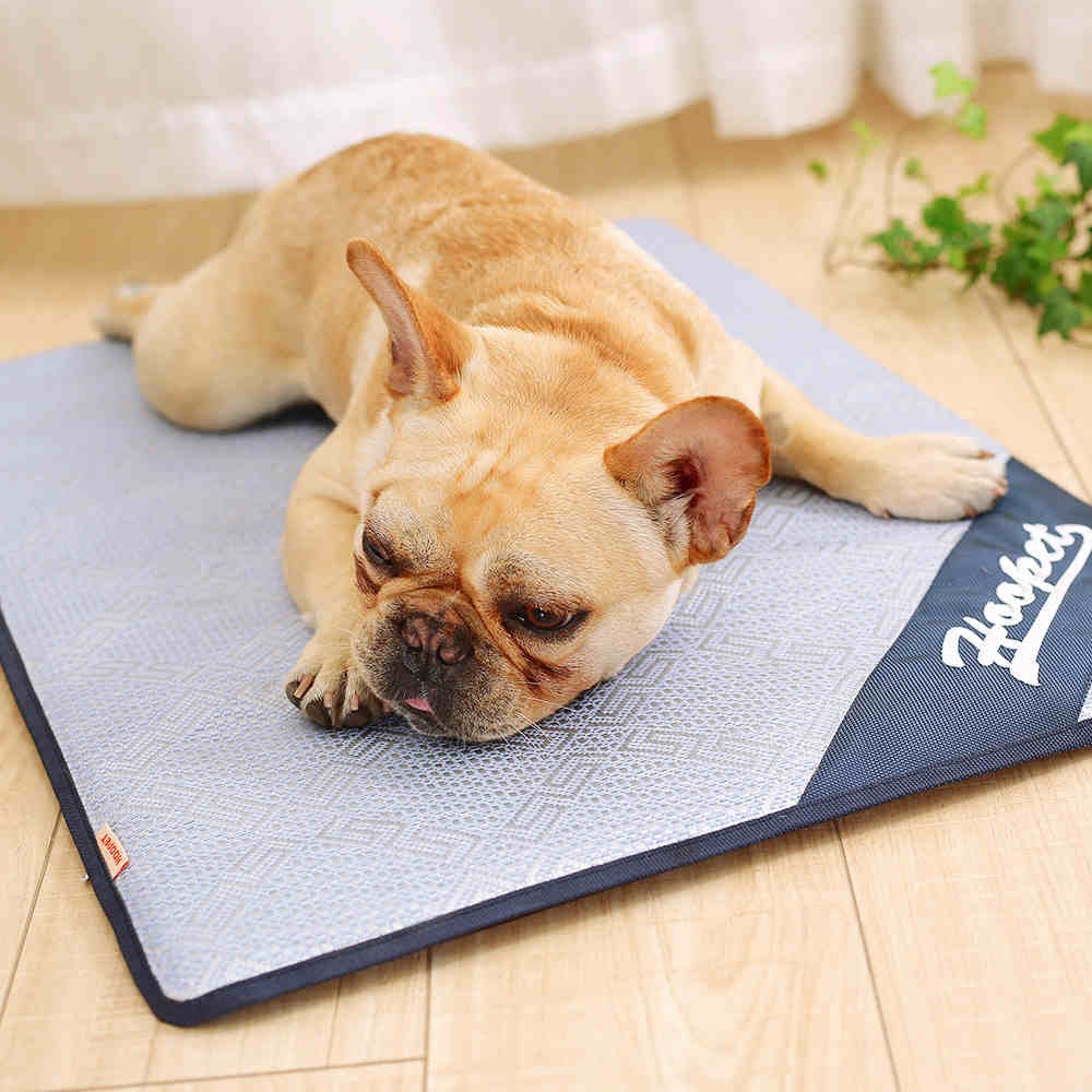 Foldable Pet Cooling Mat Cool Pad Summer Sleeping Bed Cushion for Dog Cat Puppy Light blue_S-small - Image 2