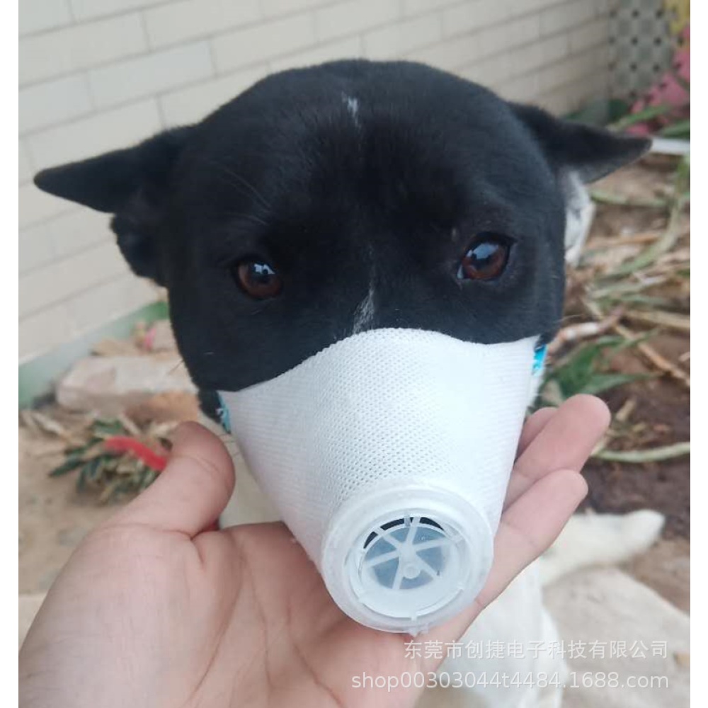 3pcs Dog Face Mouth Mask Soft Pet Respiratory Filter Anti Dust Gas Pollution Anti-fog Haze Masks White_M