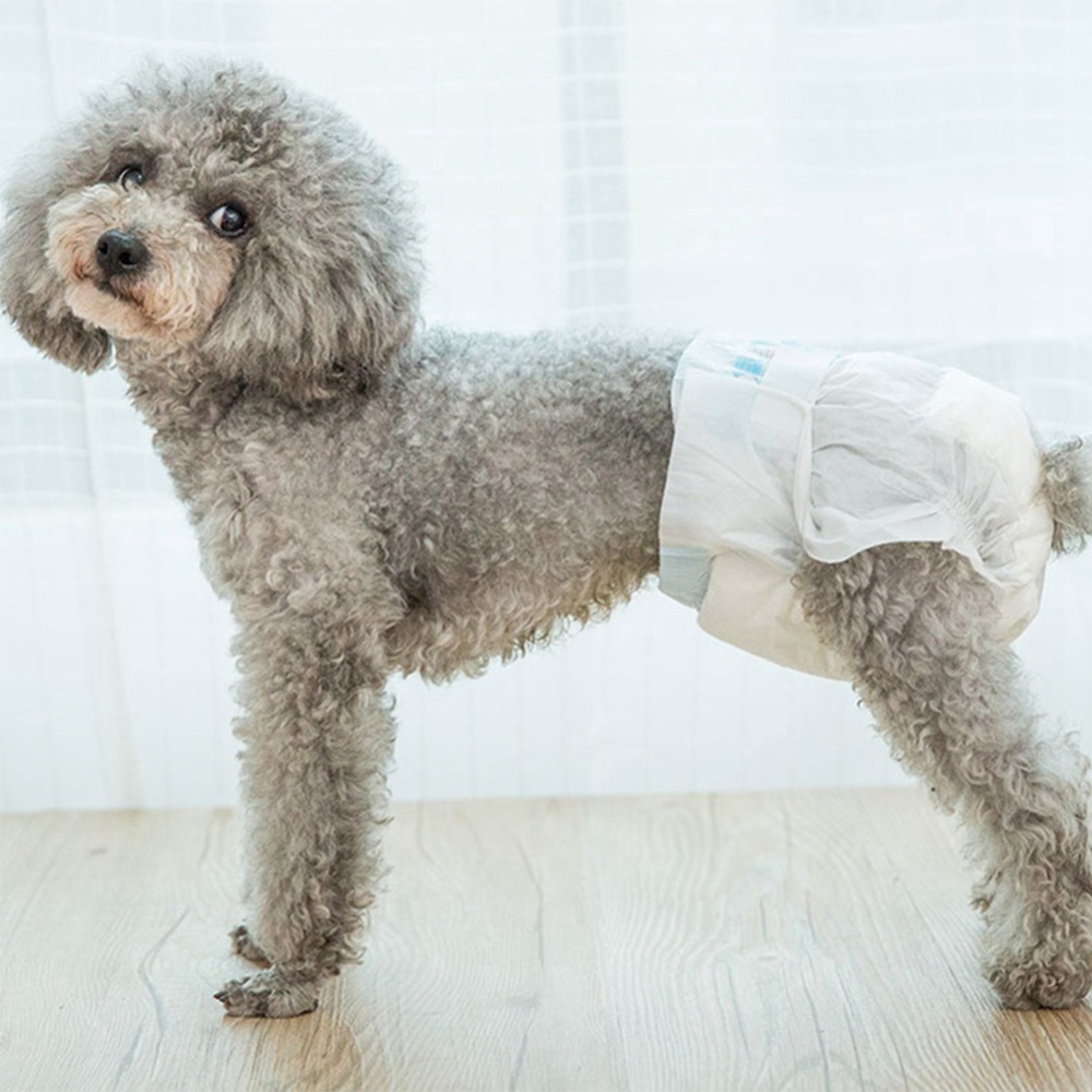 10Pcs Pet Diapers Puppy Disposable Nappies Physiological Pants for Female Dog As shown_M number - waist circumference 24-41cm, suitable weig - Image 2